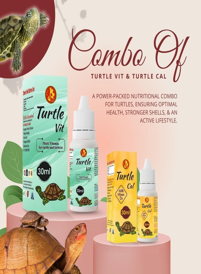 سايج سكوير سيج سكوير بيت كير إنترناشونال، قطرات فيتامينات وكالسيوم للسلاحف | يدعم صحة الصدفة والعظام القوية | فيتامينات ومعادن وكالسيوم أساسية للنمو والعافية | رعاية صحية متكاملة للسلاحف (30 مل) - Image 2